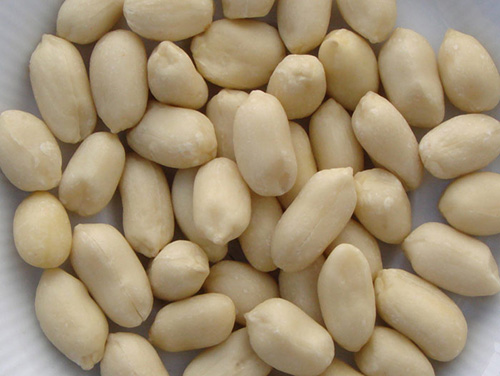 Whole Blanched Peanut exporter in India